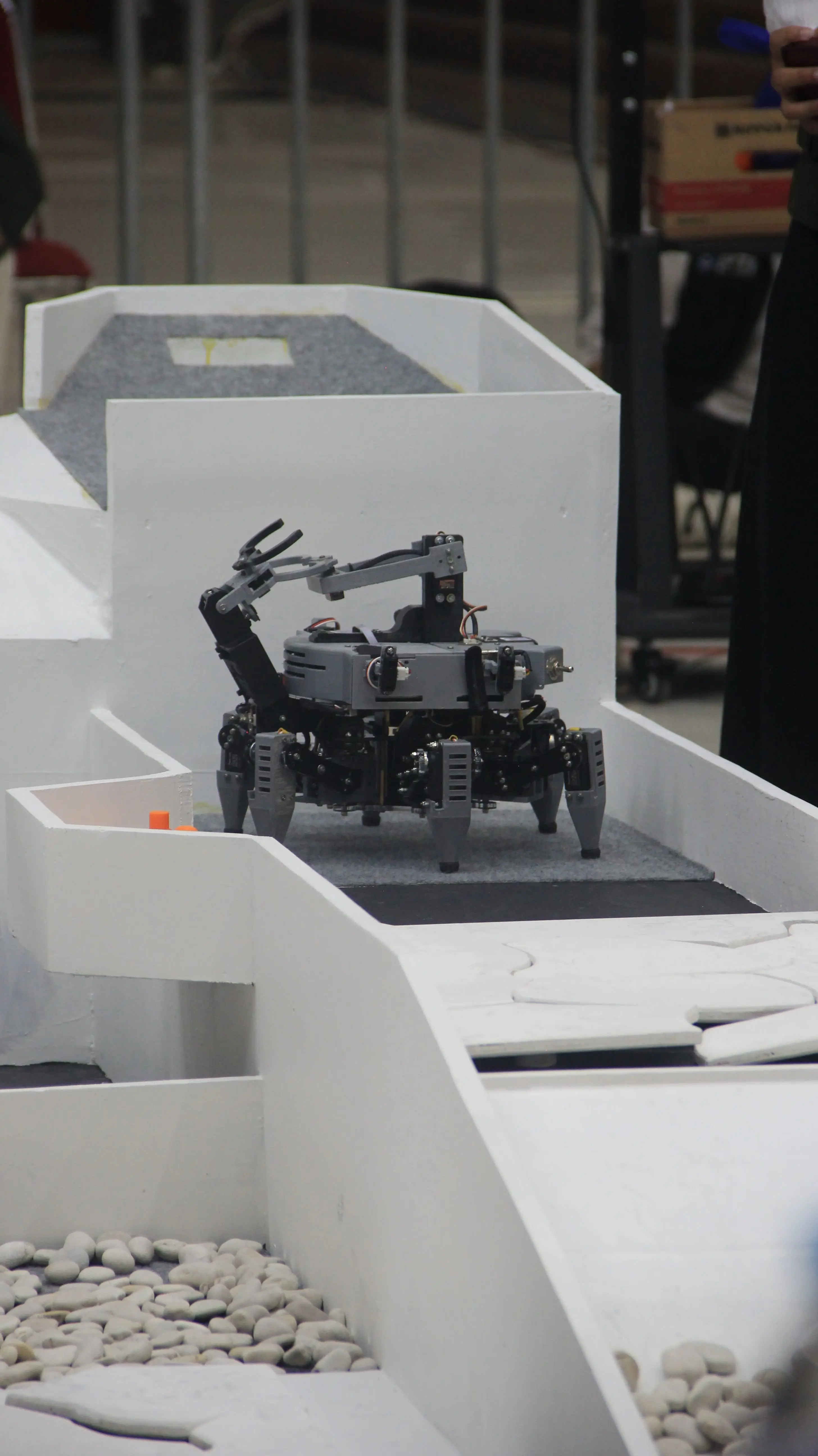 Lolos Kontes Robot Nasional 2024